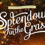 Splendour In The Grass 2014 line-up Announced