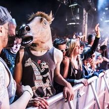 A horse walks into a festival on Day 2 of Movement Electronic Music Festival